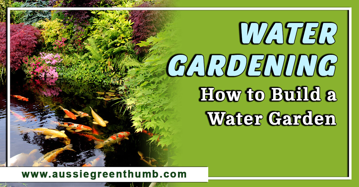 Water Gardening – How to Build a Water Garden