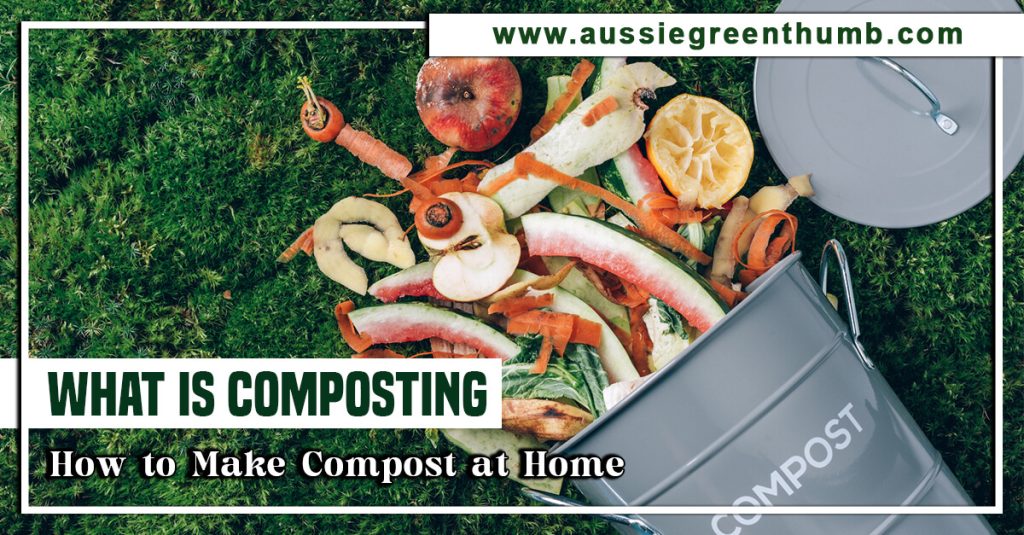 What is Composting? How to Make Compost at Home