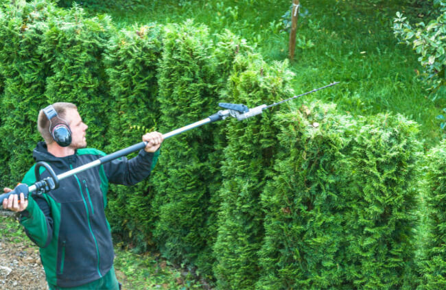 A man trimming an overgrown garden