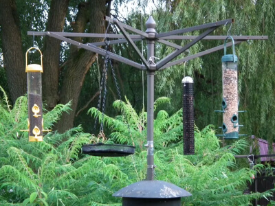 Bird Feeder Station