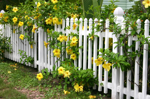 Different Types of Fences