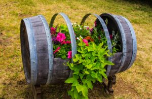 How to Make a Wine Barrel Planter