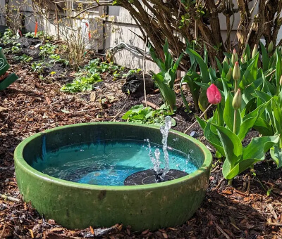 Install a Water Feature
