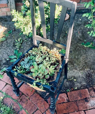 Old Chair Planter
