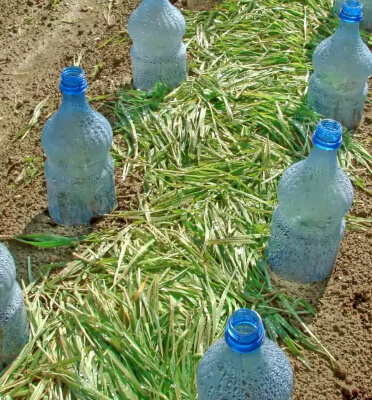 Recycled Bottle Watering System