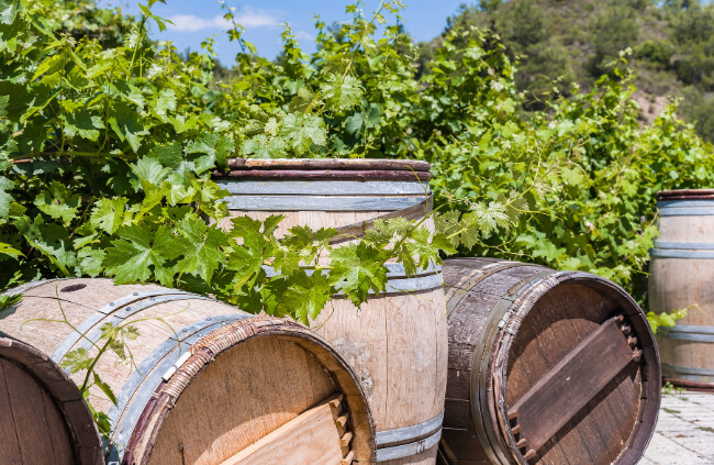 Wine Barrel Planter Step by Step Guide