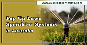 Best Pop Up Lawn Sprinkler Systems in Australia