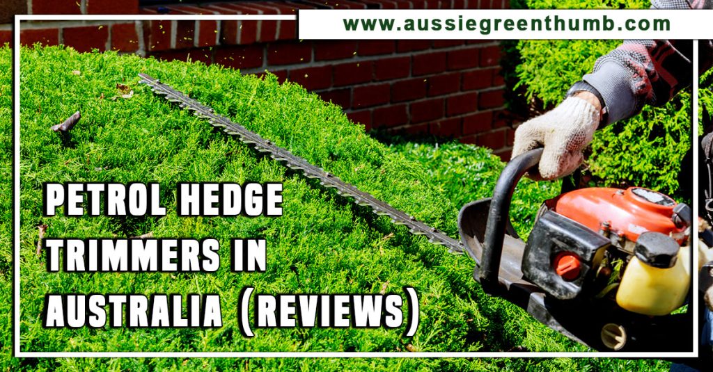 Best Petrol Hedge Trimmers in Australia (Reviews)