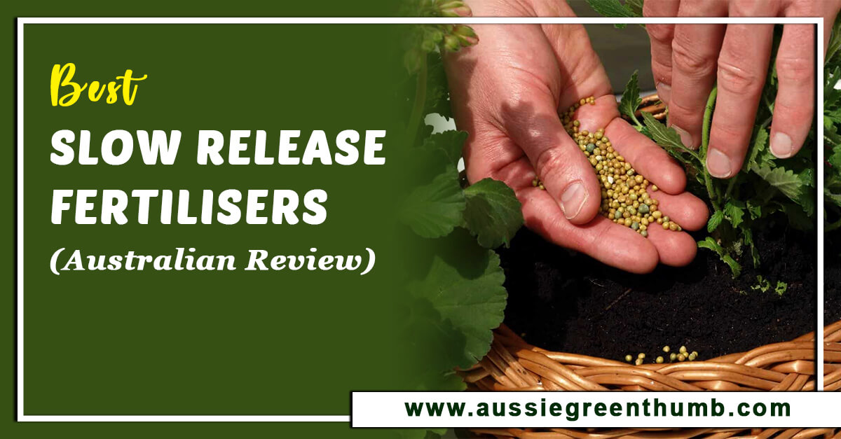 9 Best Slow Release Fertilisers (Australian Review 2024)