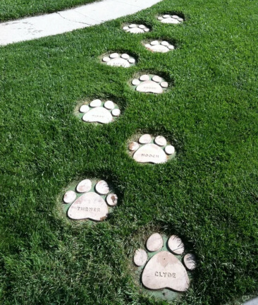 Dog Paws Stepping Stones