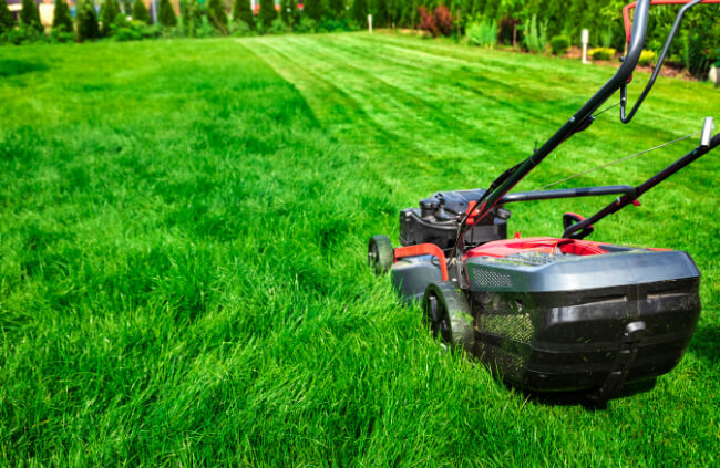 How to mow the lawn