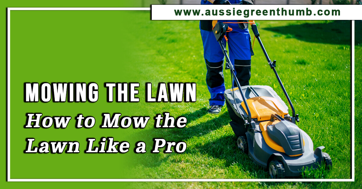 Mow like best sale a pro