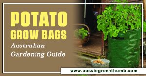 Potato Grow Bags: Australian Gardening Guide