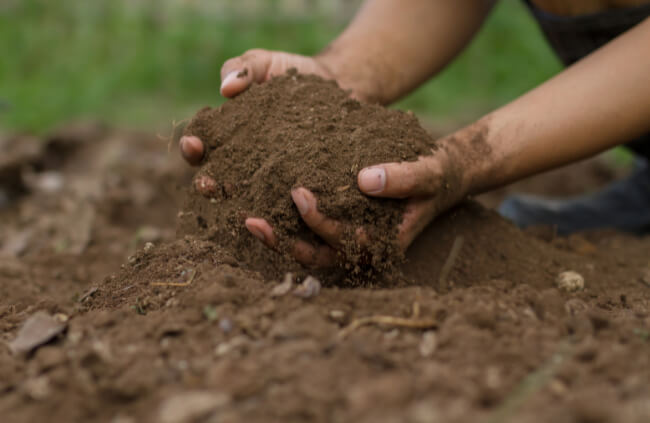 Soil for Organic Gardening