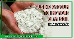 Using Gypsum to Improve Clay Soil in Australia
