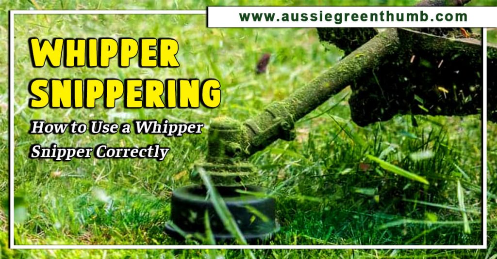 Whipper Snippering: How to Use a Whipper Snipper Correctly