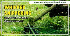Whipper Snippering: How to Use a Whipper Snipper Correctly