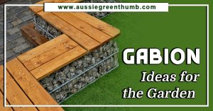 Gabion Ideas for the Garden