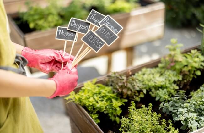 A gardener using a plant tag
