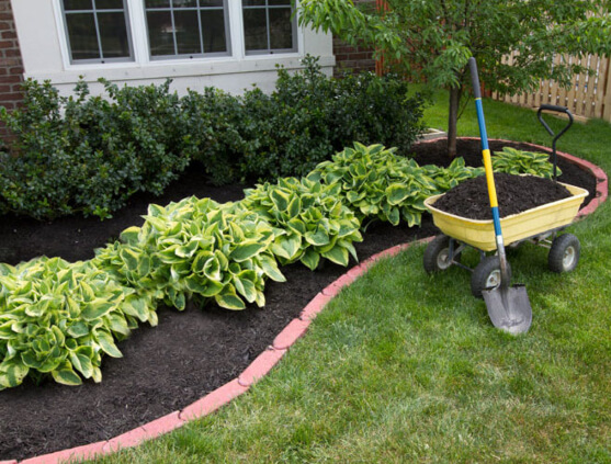 Add Mulch in Your Front Yard