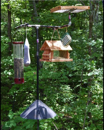 Bird Feeder Station