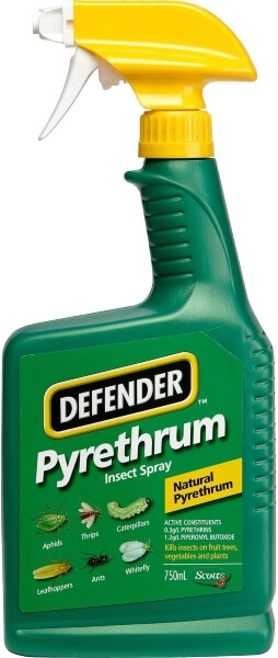 Defender Pyrethrum Insect Spray