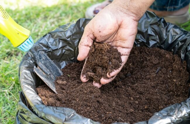 Improving soil drainage for efficient watering of plants