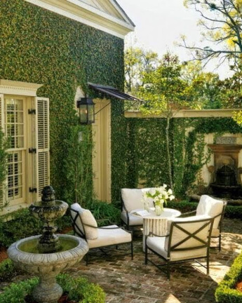 Ivy-Covered Patio