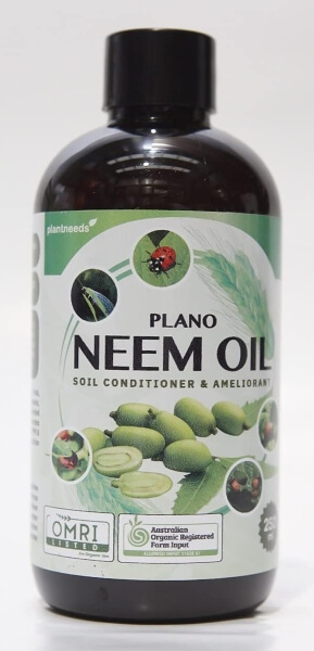 Plant Needs Neem Oil