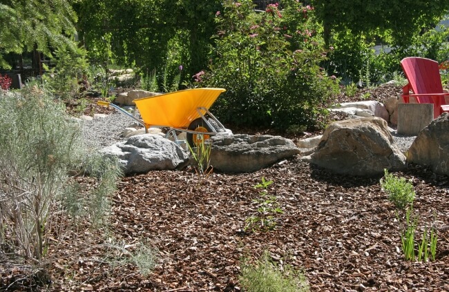 Plants to Grow in a Xeriscape Garden