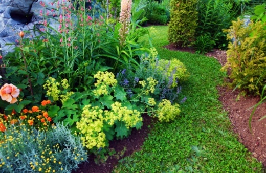 Signs of a Healthy Garden