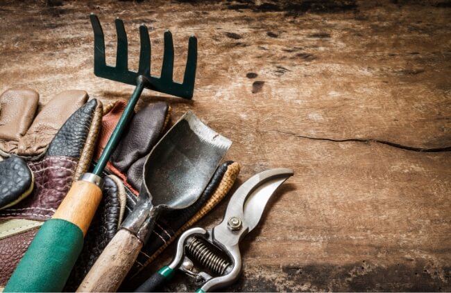 Tools for Your Garden Tool Belt