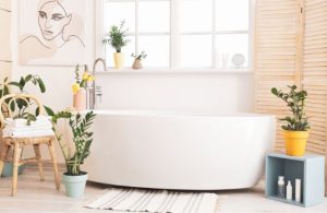 30 Best Bathroom Plants to Grow in Australia