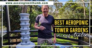 Best Aeroponic Tower Gardens in Australia