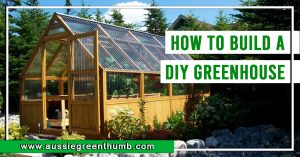 How to Build a DIY Greenhouse