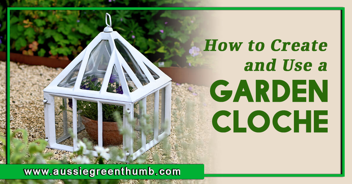 How to Create and Use a Garden Cloche AGT