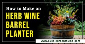How to Make an Herb Wine Barrel Planter