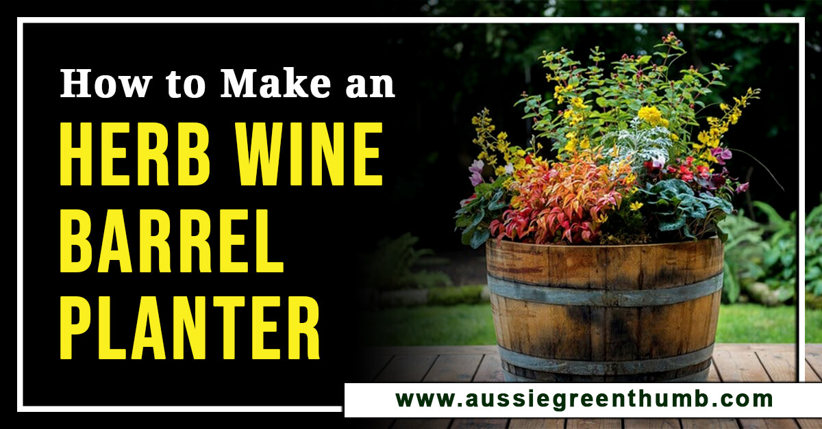 How to Make an Herb Wine Barrel Planter AGT