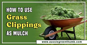 How to Use Grass Clippings as Mulch