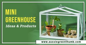 Mini Greenhouse Ideas and Products