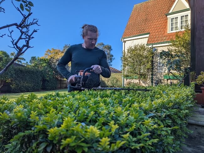Nathan Schwartz of Aussie Green Thumb pruning a Buxus hedge