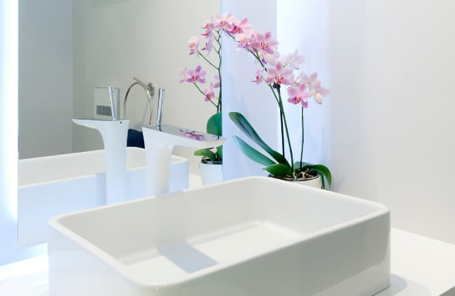 Orchid as a bathroom plant