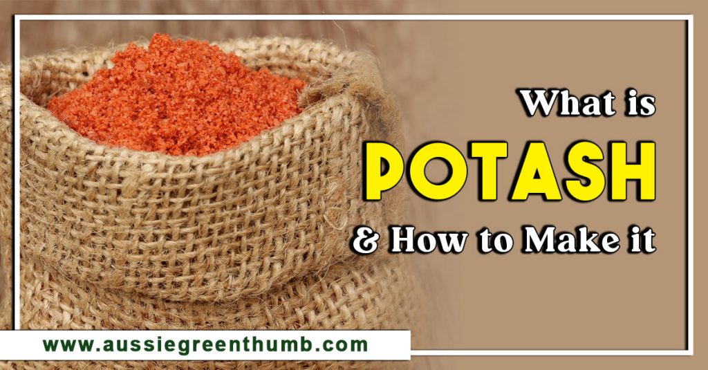 What is Potash and How to Make it