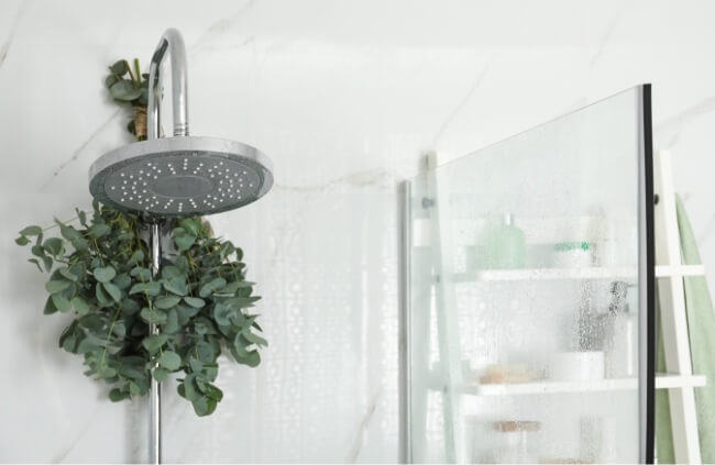 hanging freshly cut eucalyptus branches from your showerhead