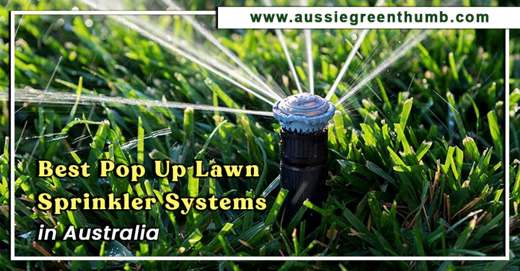 Best Pop Up Lawn Sprinkler Systems in Australia