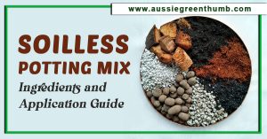 Soilless Potting Mix: Ingredients and Application Guide