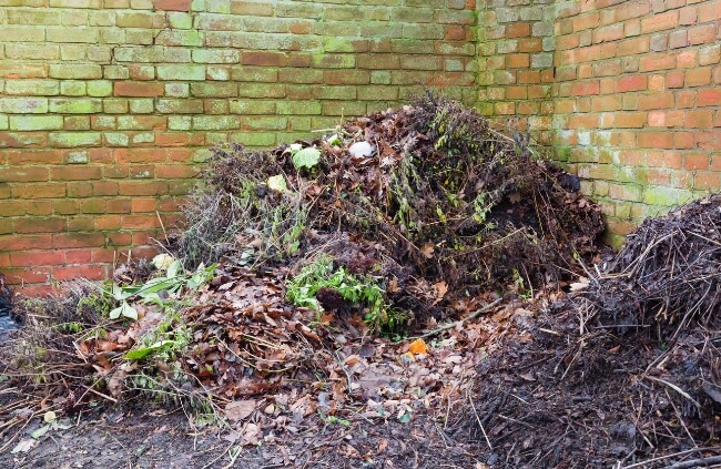 Standard Compost Pile