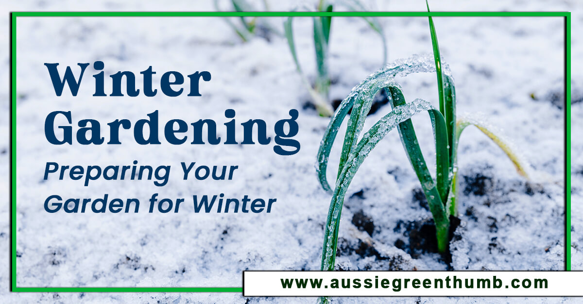 Winter Gardening – Preparing Your Garden for Winter