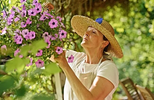 A woman deadheading her hanging plants