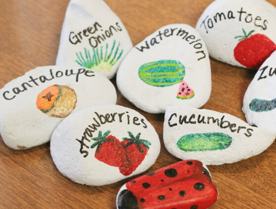 Painted Rocks as Plant Labels